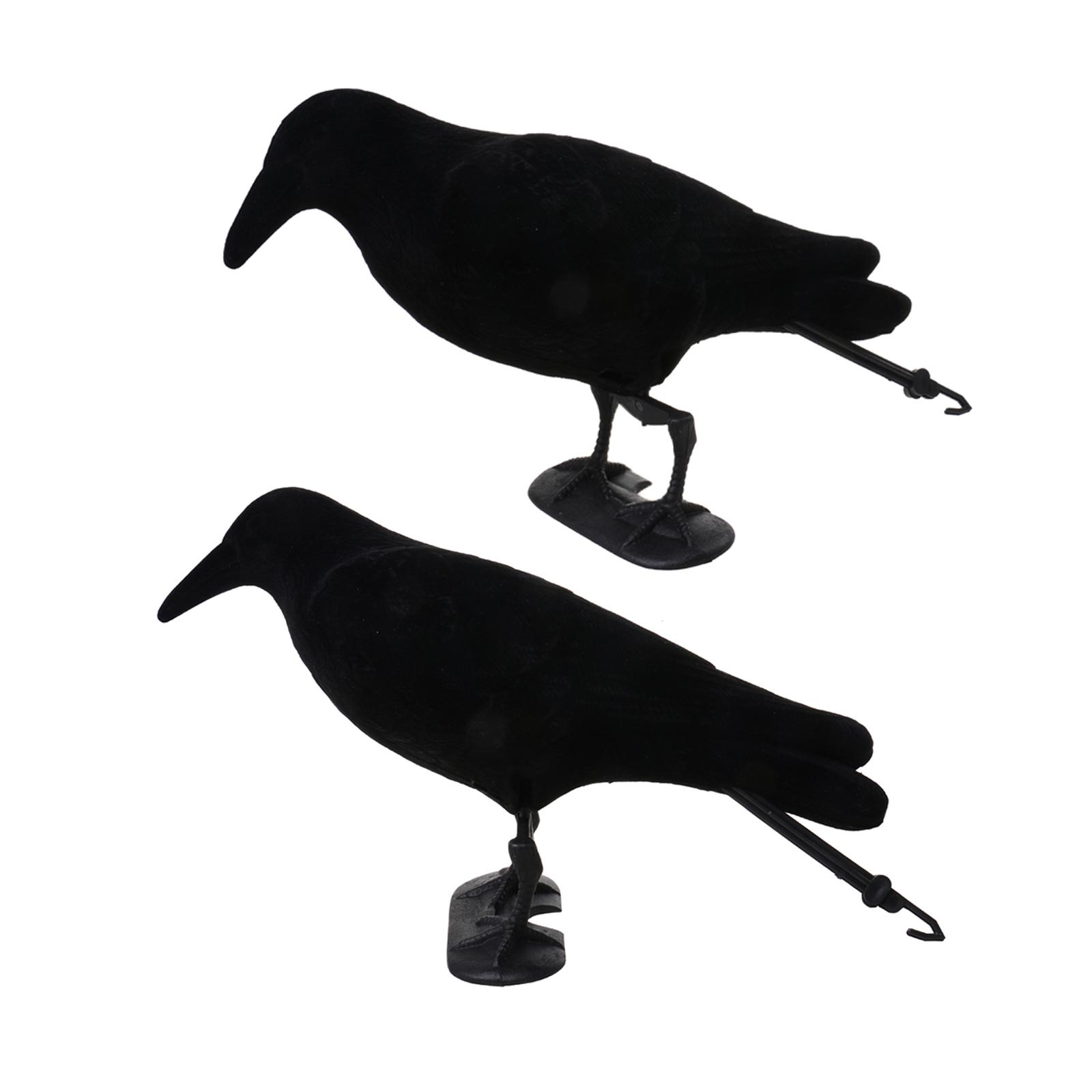 Hunting And Outdoor Supplies - Richiamo per Corvi, Trappola per Animali,