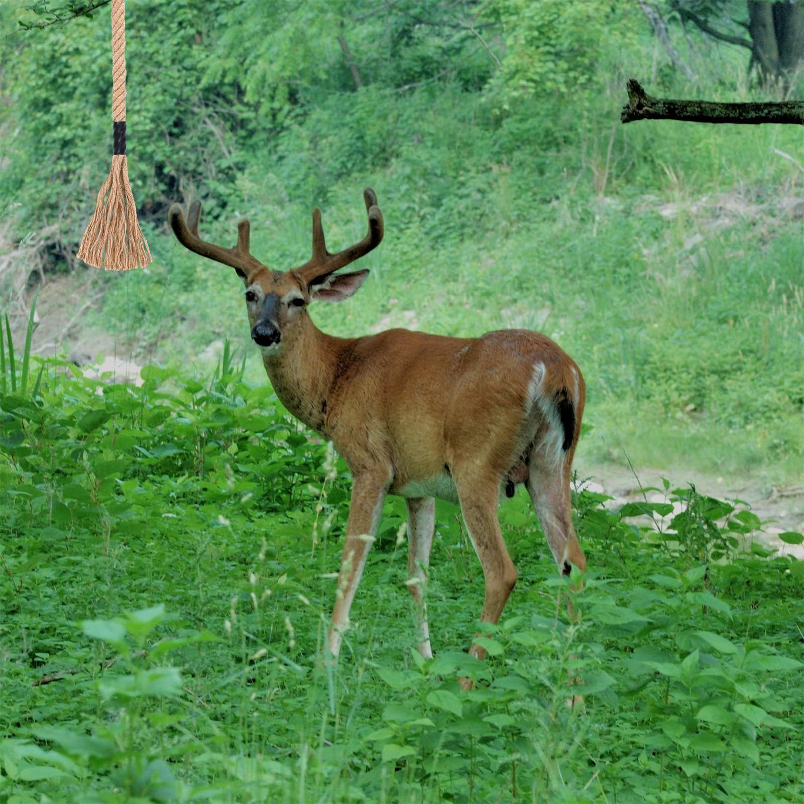 Deer Attractant Scent - Raschiare il cervo efficace attrattivo a