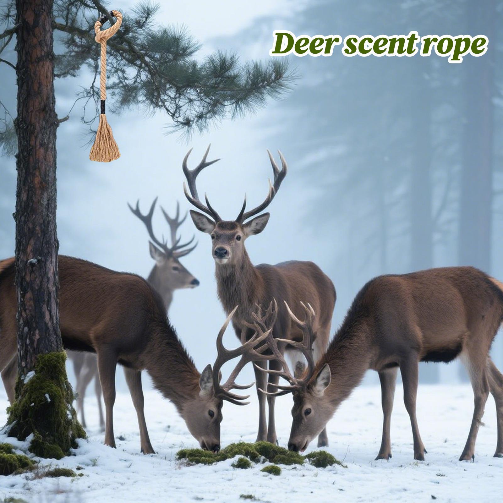 Corda profumata per cervi Attr - Deer Attractant Scent recensione e prezzo