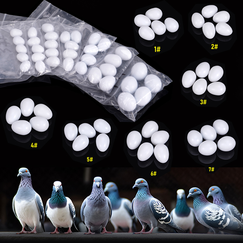 10/20 Pz Plastica Realistica S - Hunting Quail recensione e prezzo