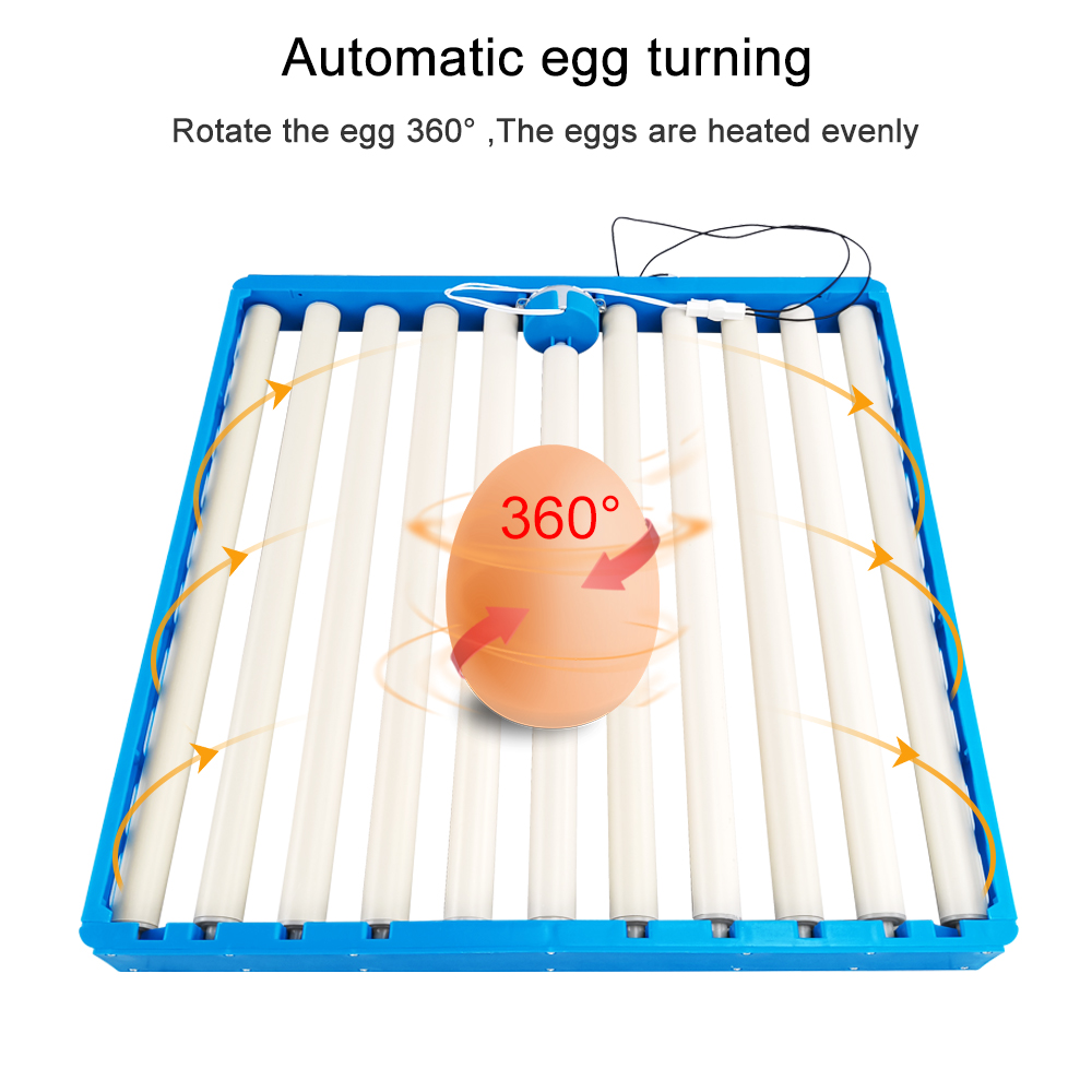 Incubatrice da 70 uova automat - Hunting Quail recensione e prezzo